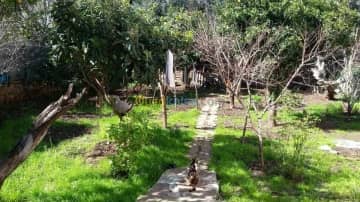 Vente Villa Guelma Guelma 2