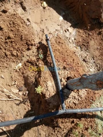 Vente Terrain Agricole Biskra Biskra 30