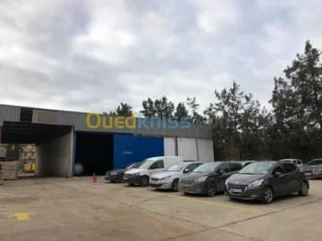 Location Immeuble Alger Zeralda 20