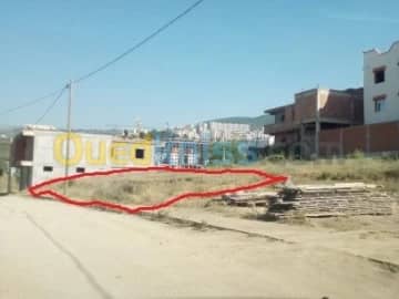 Vente Terrain Blida Bouinan 4