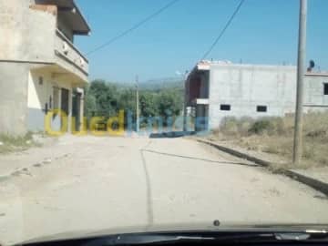 Vente Terrain Blida Bouinan 5