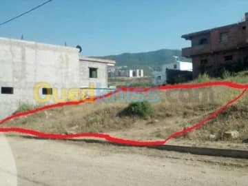 Vente Terrain Blida Bouinan 6