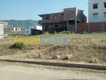 Vente Terrain Blida Bouinan