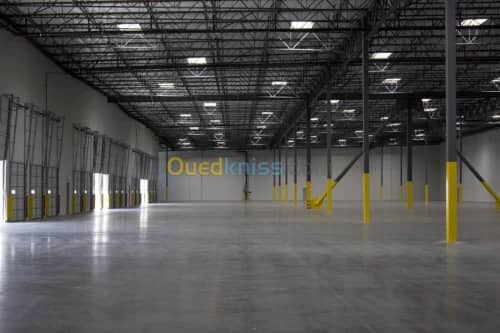 Location Hangar Boumerdes Hammedi
