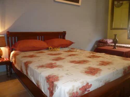 Location Studio Oran Oran 3