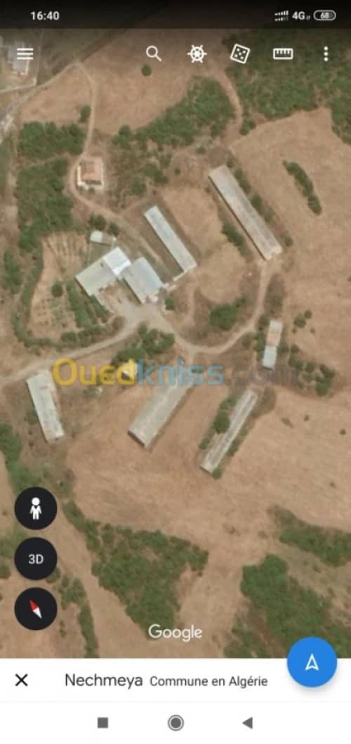 Vente Terrain Agricole Guelma Nechmaya 44