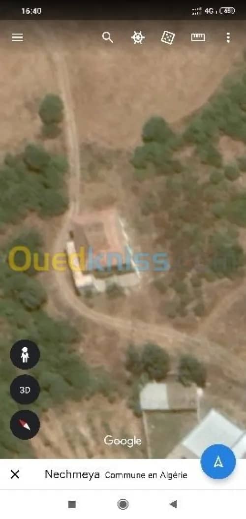 Vente Terrain Agricole Guelma Nechmaya 18