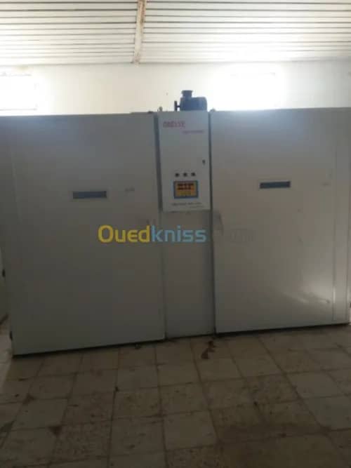 Vente Terrain Agricole Guelma Nechmaya 49