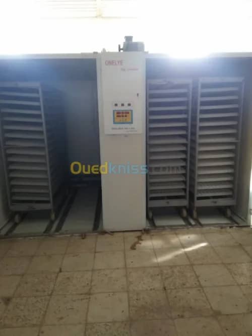 Vente Terrain Agricole Guelma Nechmaya 9