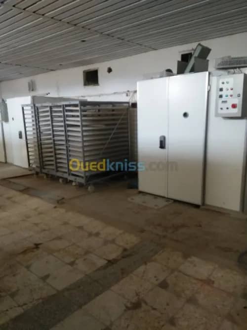 Vente Terrain Agricole Guelma Nechmaya 16