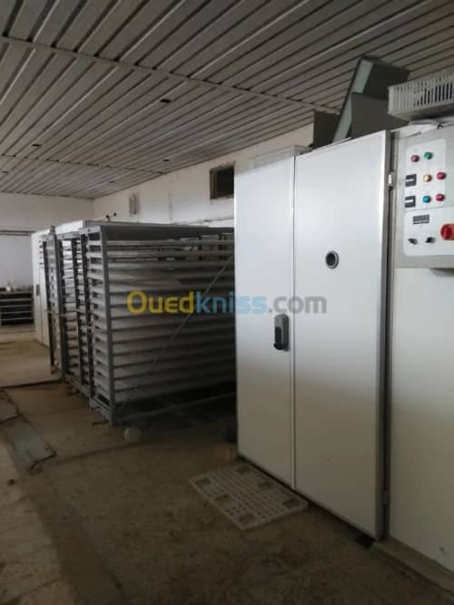 Vente Terrain Agricole Guelma Nechmaya 19