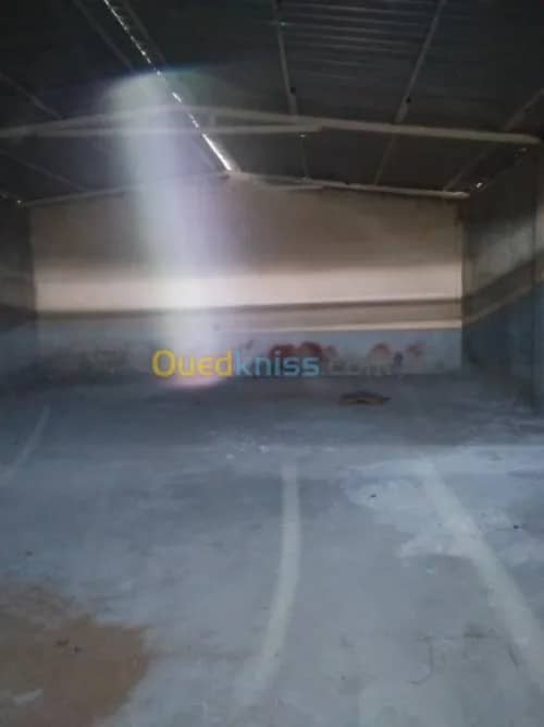 Vente Terrain Agricole Guelma Nechmaya 34