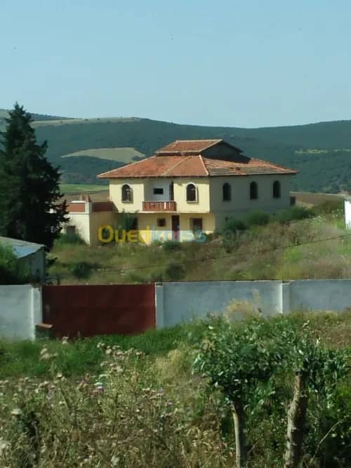 Vente Terrain Agricole Guelma Nechmaya 21