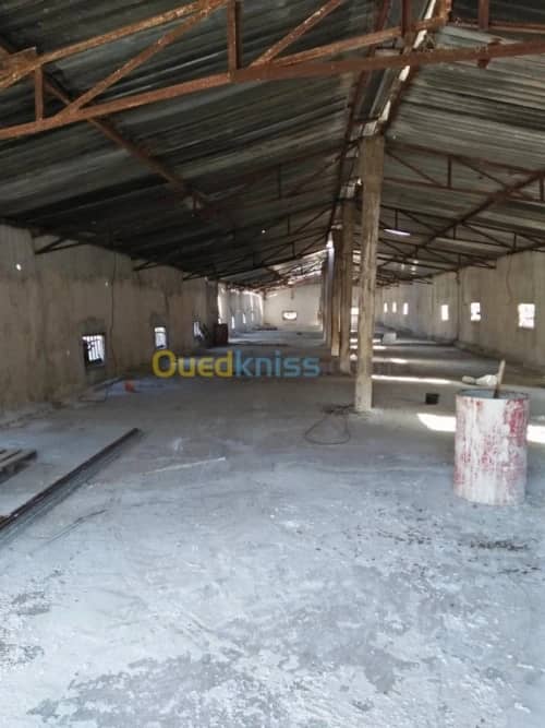Vente Terrain Agricole Guelma Nechmaya 36