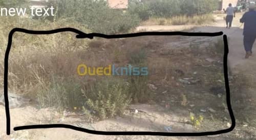 Vente Terrain Souk Ahras Ouled driss