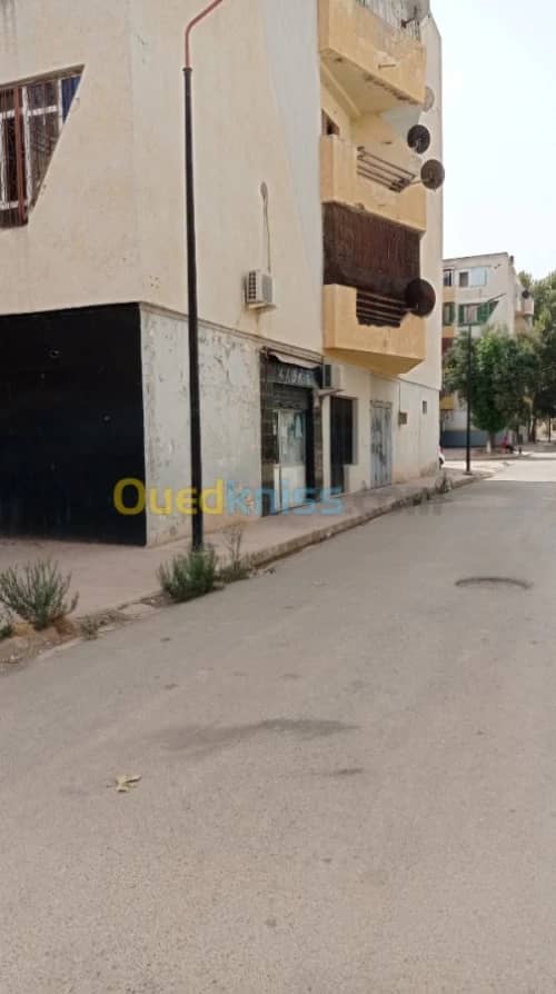 Vente Local Sidi Bel Abbès Sidi bel abbes