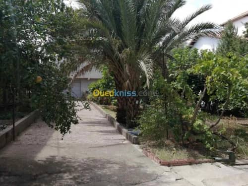 Vente Villa Tizi ouzou Azazga 12