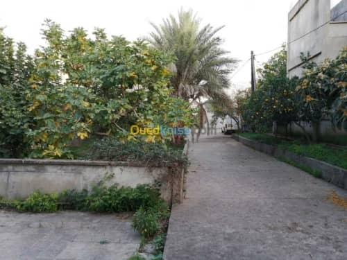 Vente Villa Tizi ouzou Azazga 5