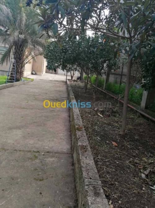 Vente Villa Tizi ouzou Azazga 4