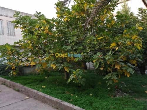 Vente Villa Tizi ouzou Azazga 13