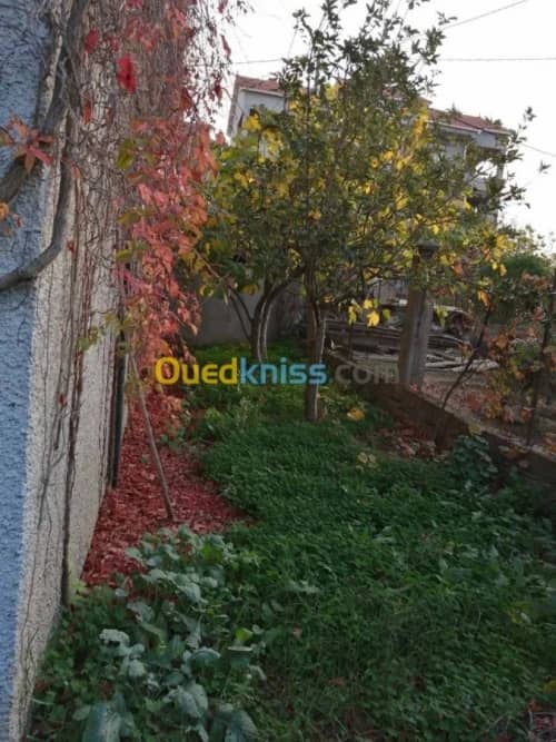 Vente Villa Tizi ouzou Azazga 19