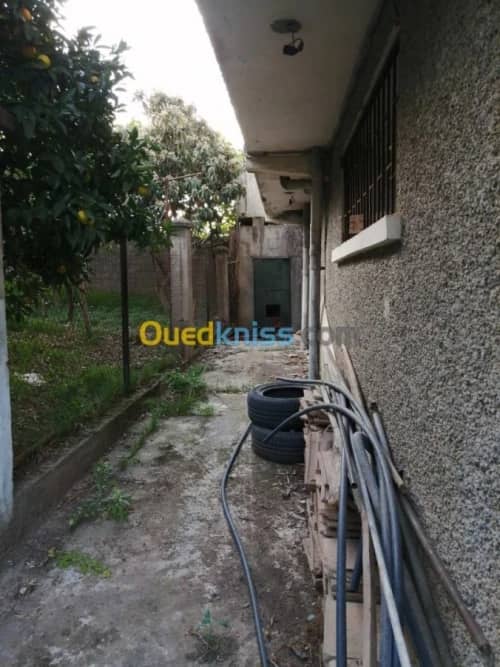 Vente Villa Tizi ouzou Azazga 7