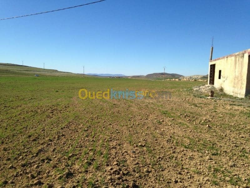 Vente Terrain Khenchela Khenchela 10