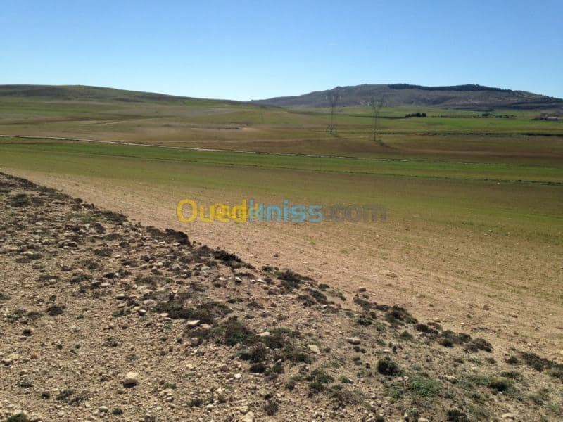 Vente Terrain Khenchela Khenchela 4