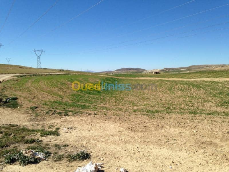 Vente Terrain Khenchela Khenchela 6