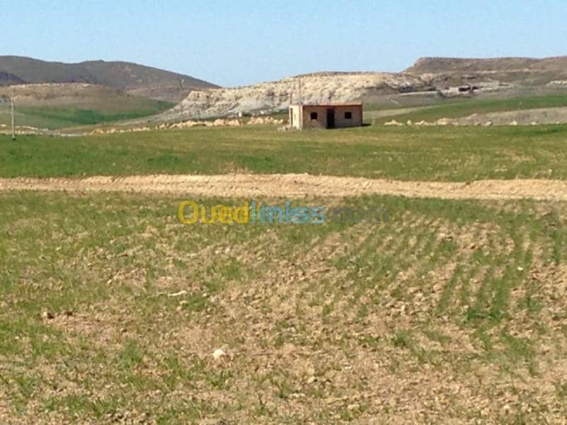 Vente Terrain Khenchela Khenchela 7
