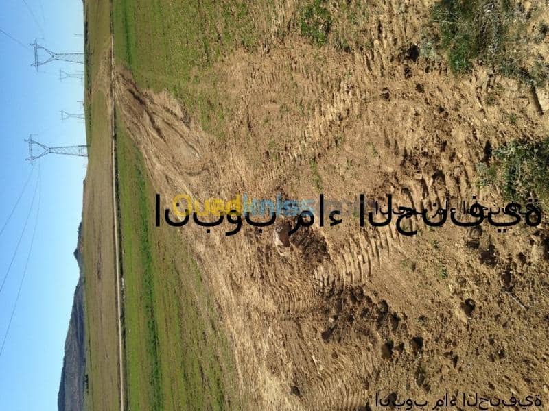 Vente Terrain Khenchela Khenchela 8