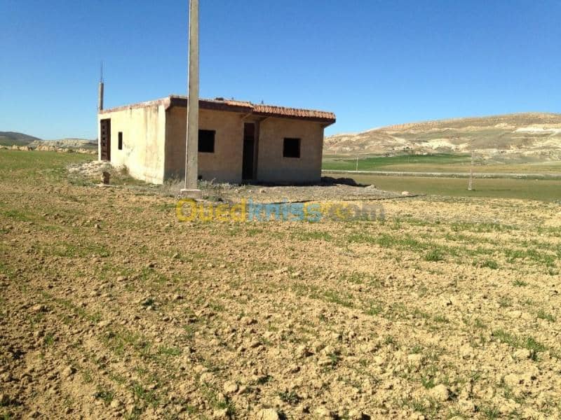 Vente Terrain Khenchela Khenchela 9