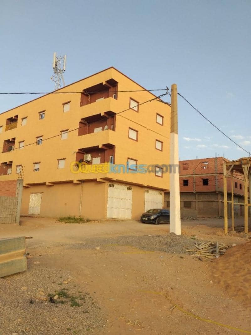 Location Appartement Naama Mecheria 19