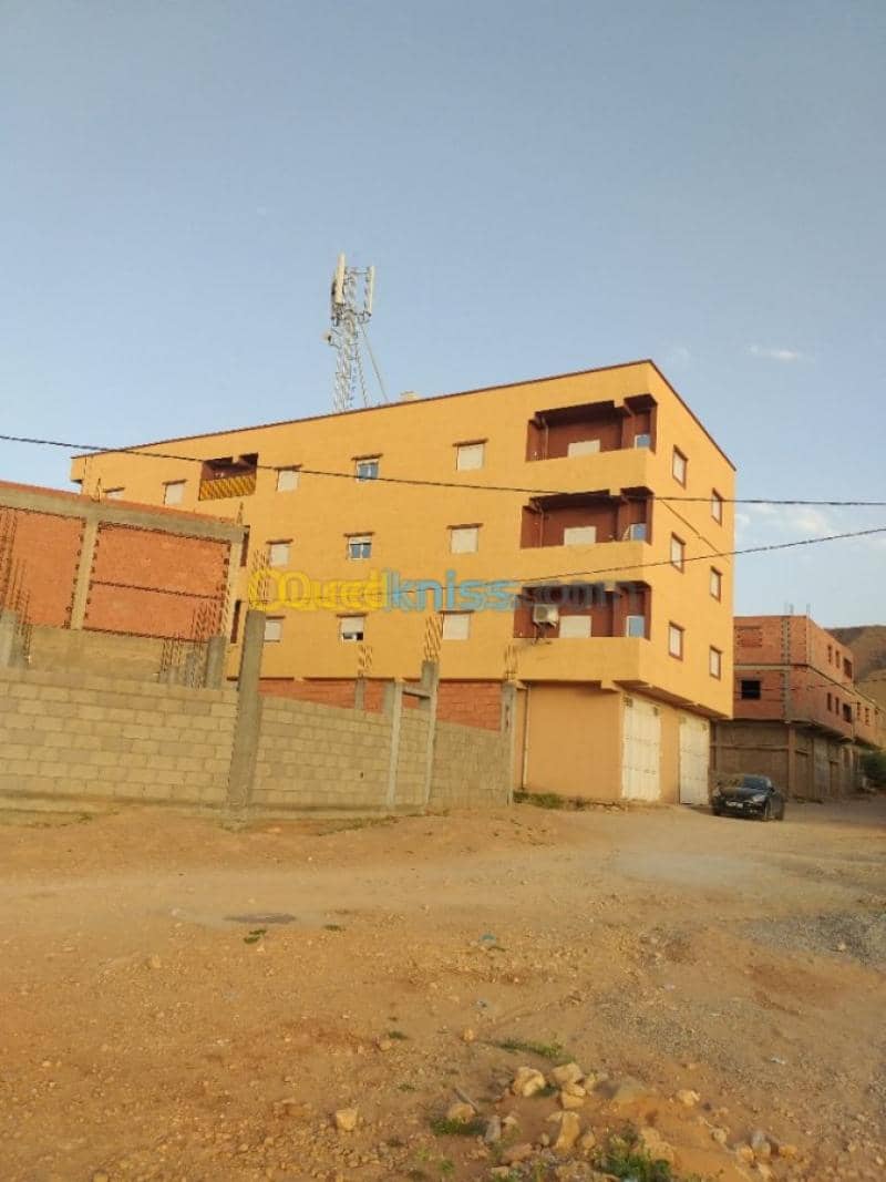 Location Appartement Naama Mecheria 20