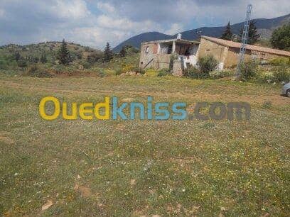 Vente Terrain Ain defla Ben allal 3