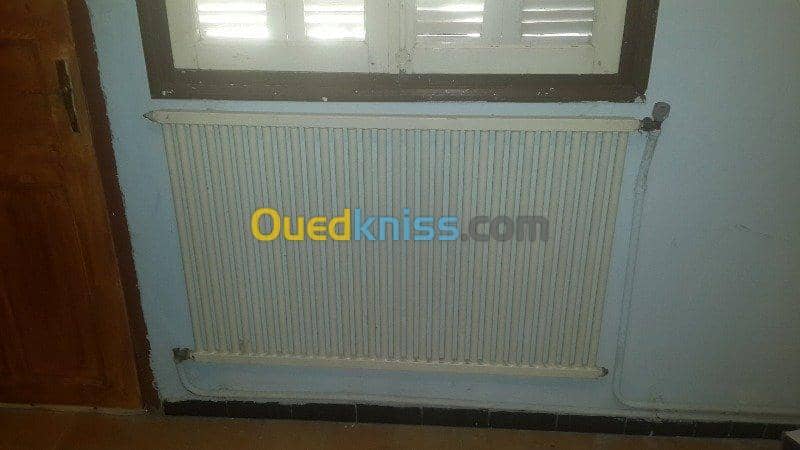 radiateur pour chauffage central 2