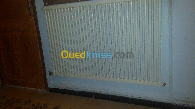 radiateur pour chauffage central 3