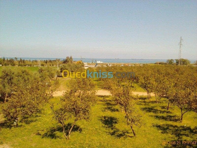 Location vacances Niveau De Villa F2 Bejaia Tichy 5