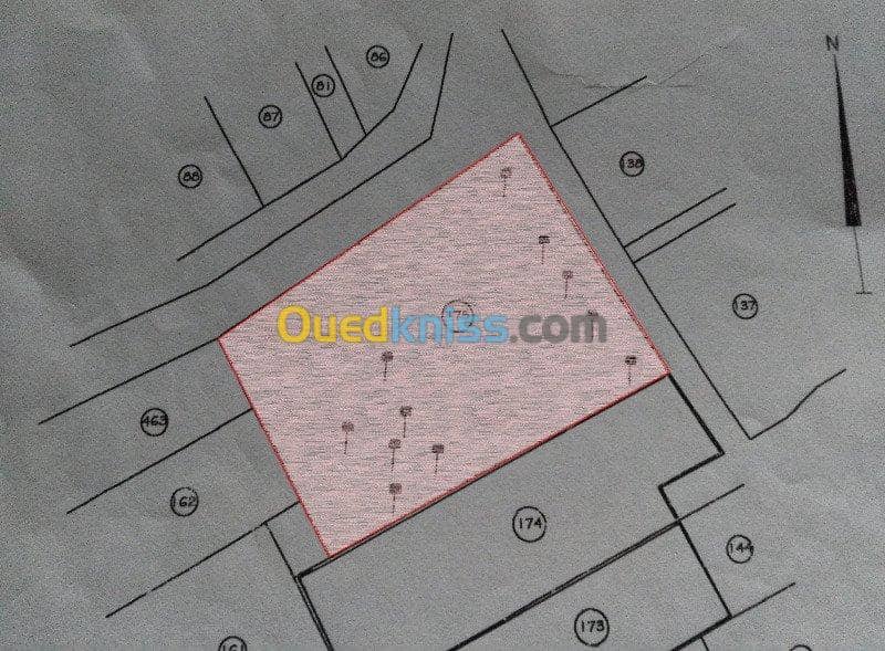 Vente Terrain Laghouat Laghouat 2