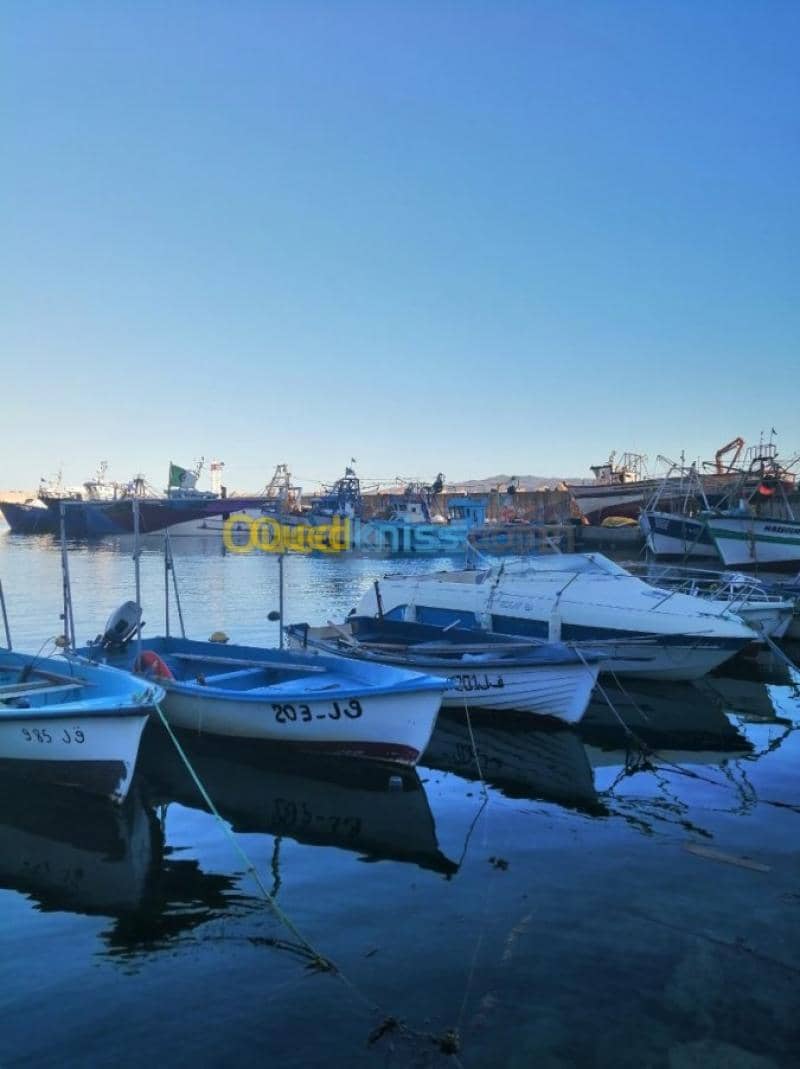 Location Bungalow Skikda Collo 10