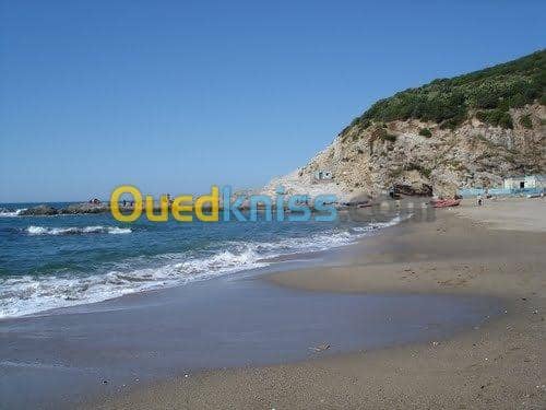 Location Bungalow Skikda Collo 4