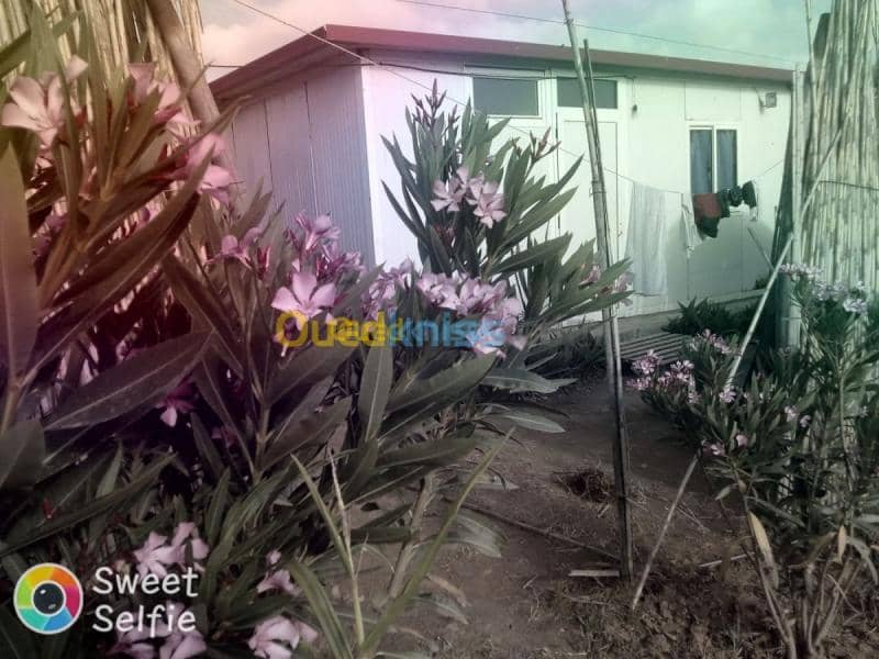 Location Bungalow Skikda Collo 8