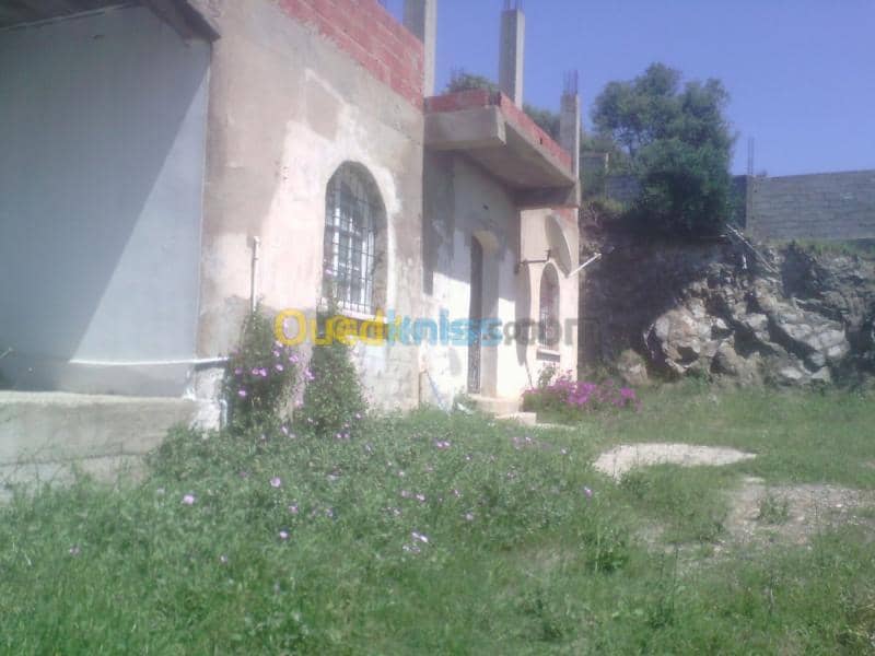 Vente Terrain Tipaza Cherchell