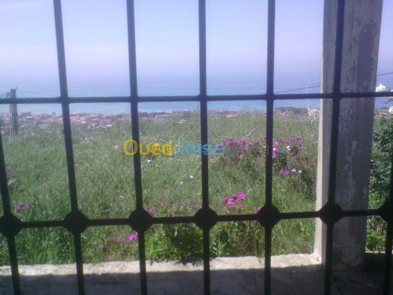 Vente Terrain Tipaza Cherchell 13