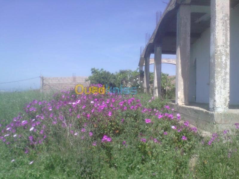 Vente Terrain Tipaza Cherchell 2