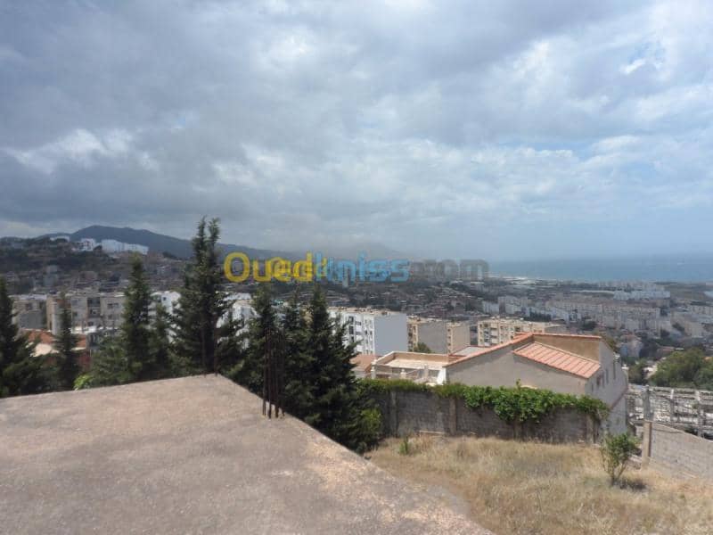 Vente Terrain Tipaza Cherchell 21