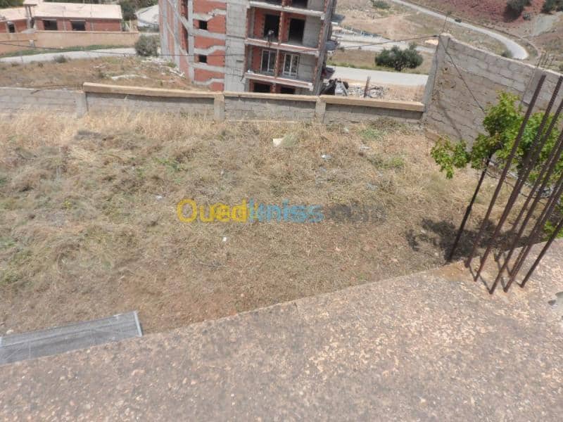 Vente Terrain Tipaza Cherchell 24
