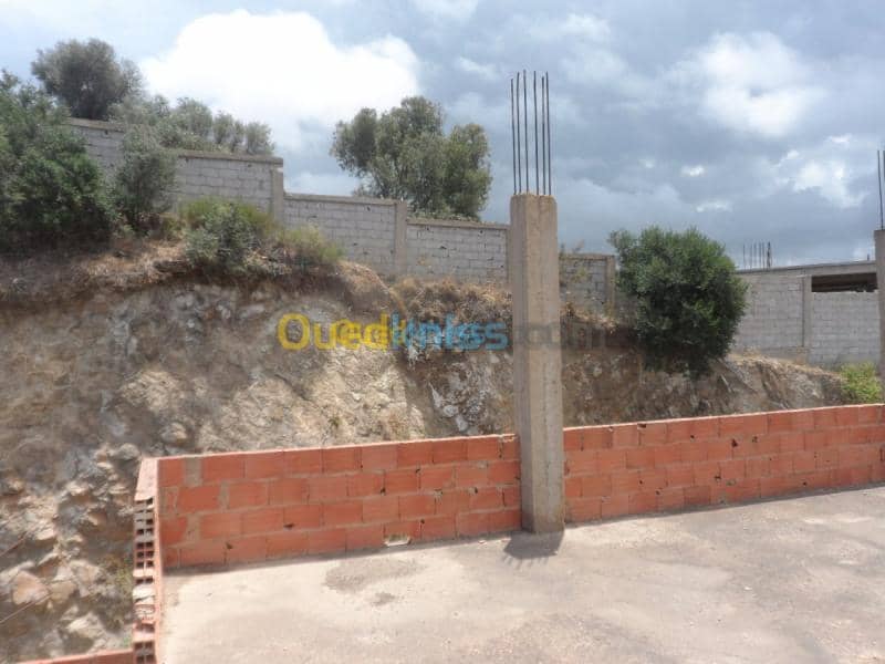 Vente Terrain Tipaza Cherchell 26