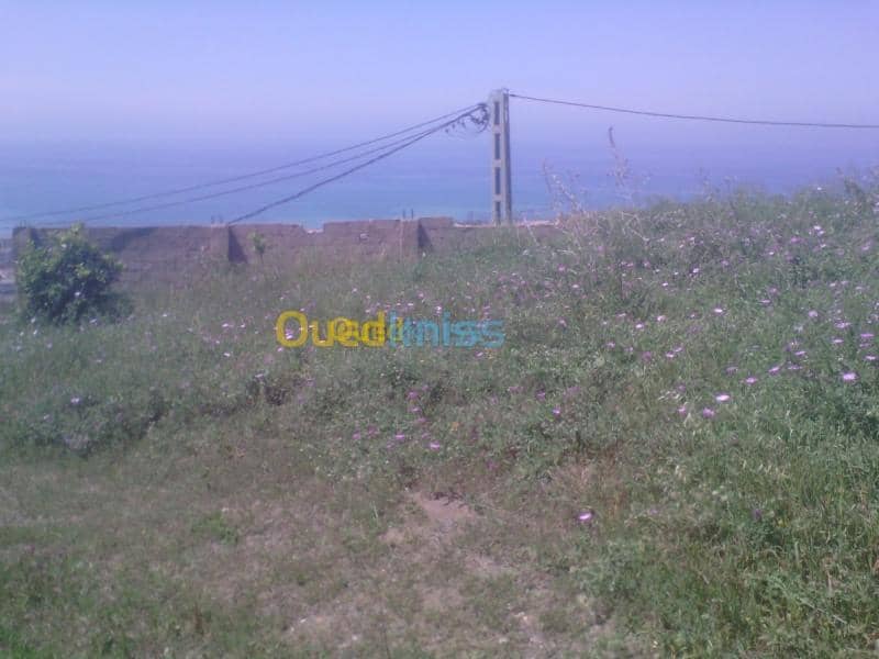 Vente Terrain Tipaza Cherchell 3