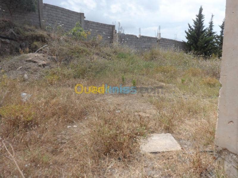 Vente Terrain Tipaza Cherchell 31
